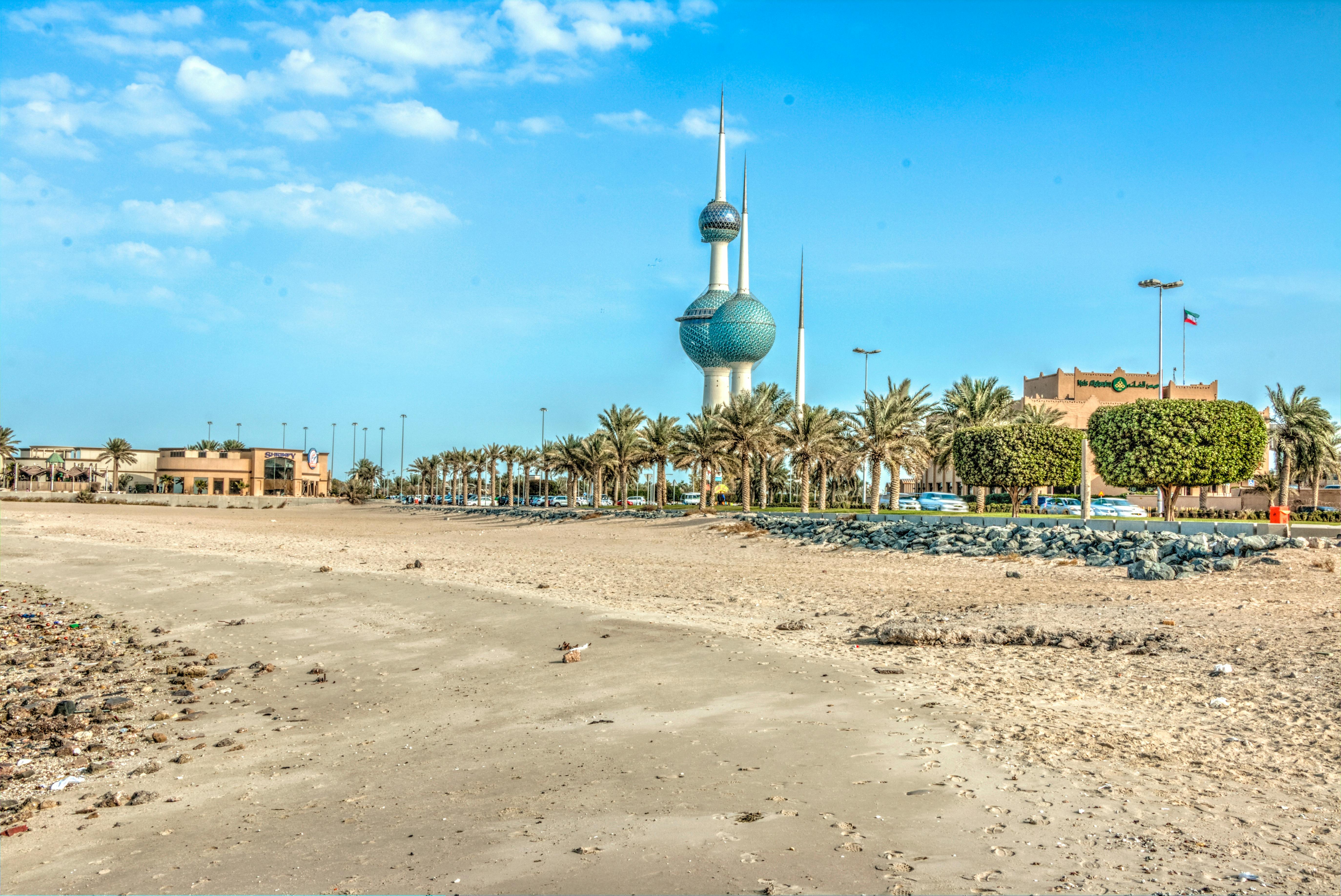 Kuwait Towers among Palm Trees · Free Stock Photo