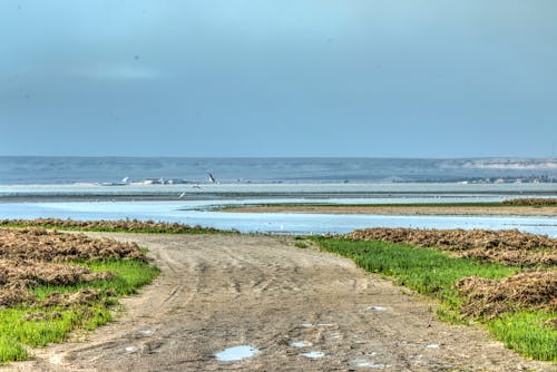 Photos gratuites de chemin de terre, courbé, flaques