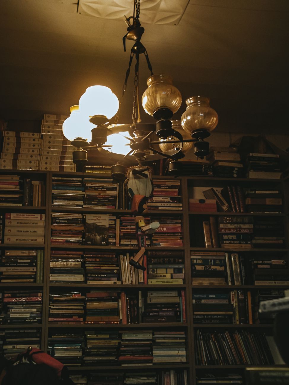 A warm-lit room filled with books and a vintage chandelier adds a classic ambiance.