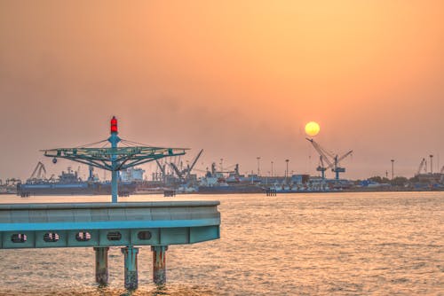 คลังภาพถ่ายฟรี ของ ทะเล, ท่าเรือ, นกกระเรียน