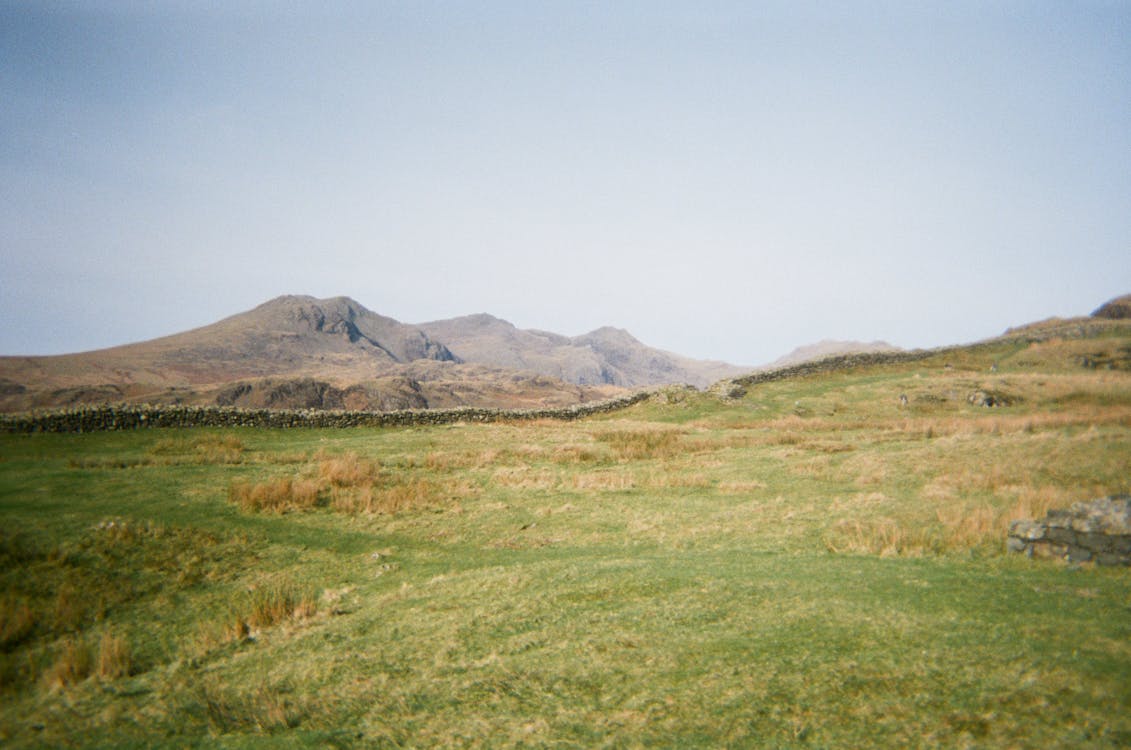 Green Countryside with Wall behind