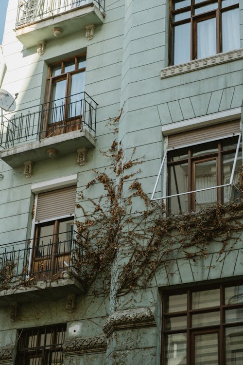 Ivy Creeping Up the Facade of an Apartment Building