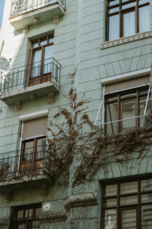 Free Ivy Creeping Up the Facade of an Apartment Building Stock Photo