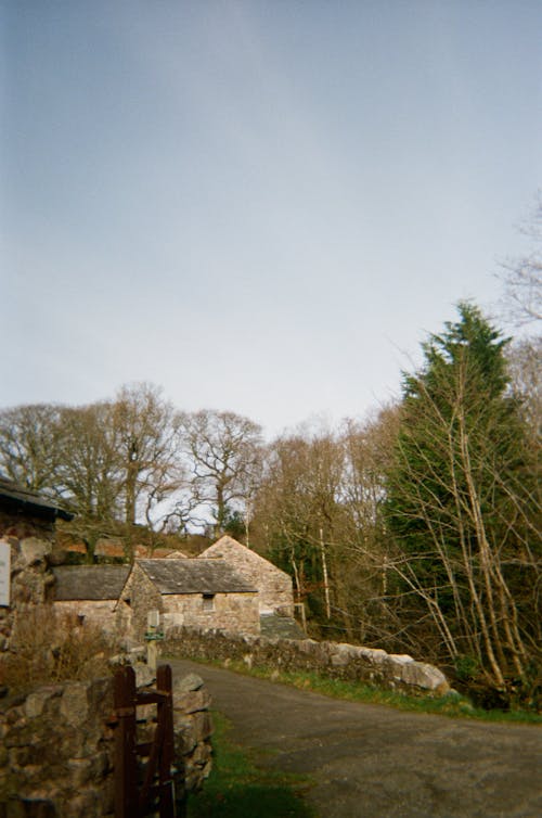 View of Stone Houses and Trees in a Village 