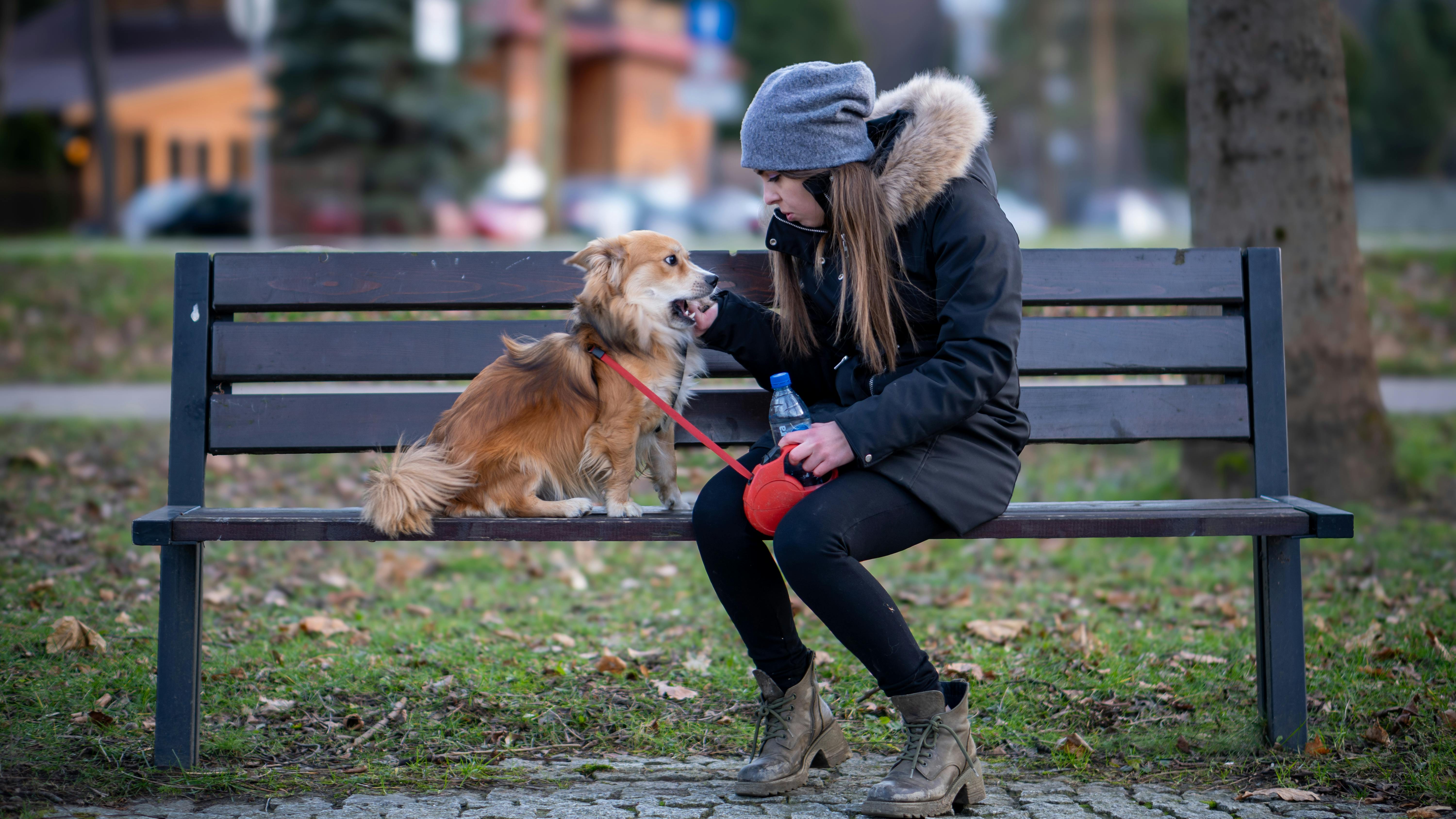 pet care pet safety — Photo by Michał Robak on Pexels