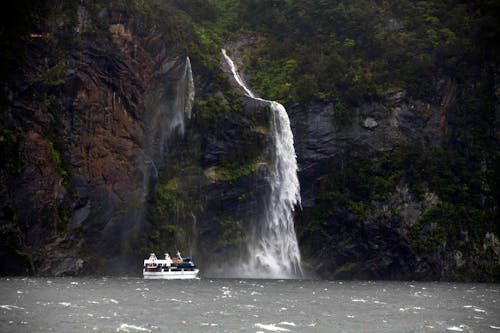 Foto profissional grátis de árvores, cachoeira, cenário