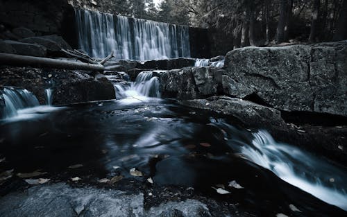 Fotos de stock gratuitas de bosque, cascada salvaje, escénico