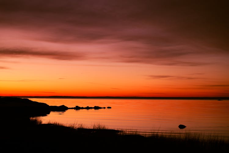 Lakeshore At Moody Dusk