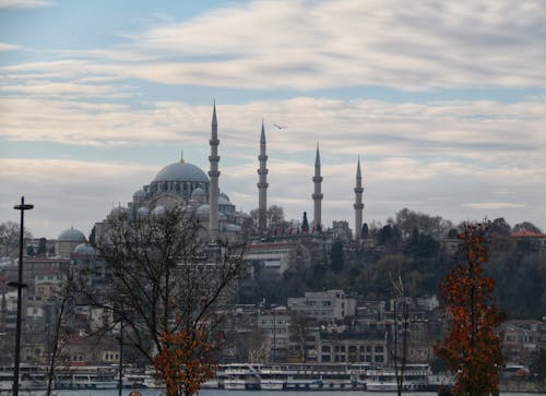 Kostenloses Stock Foto zu bäume, drohne erschossen, istanbul