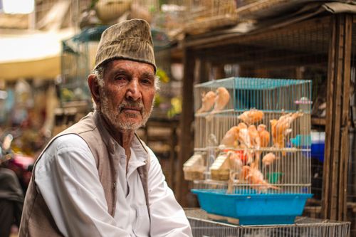 Free An elderly Afghan man in traditional attire at a bustling market with bird cages. Stock Photo