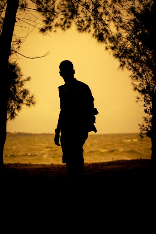 Silhouette of Man on Sea Coast at Sunset