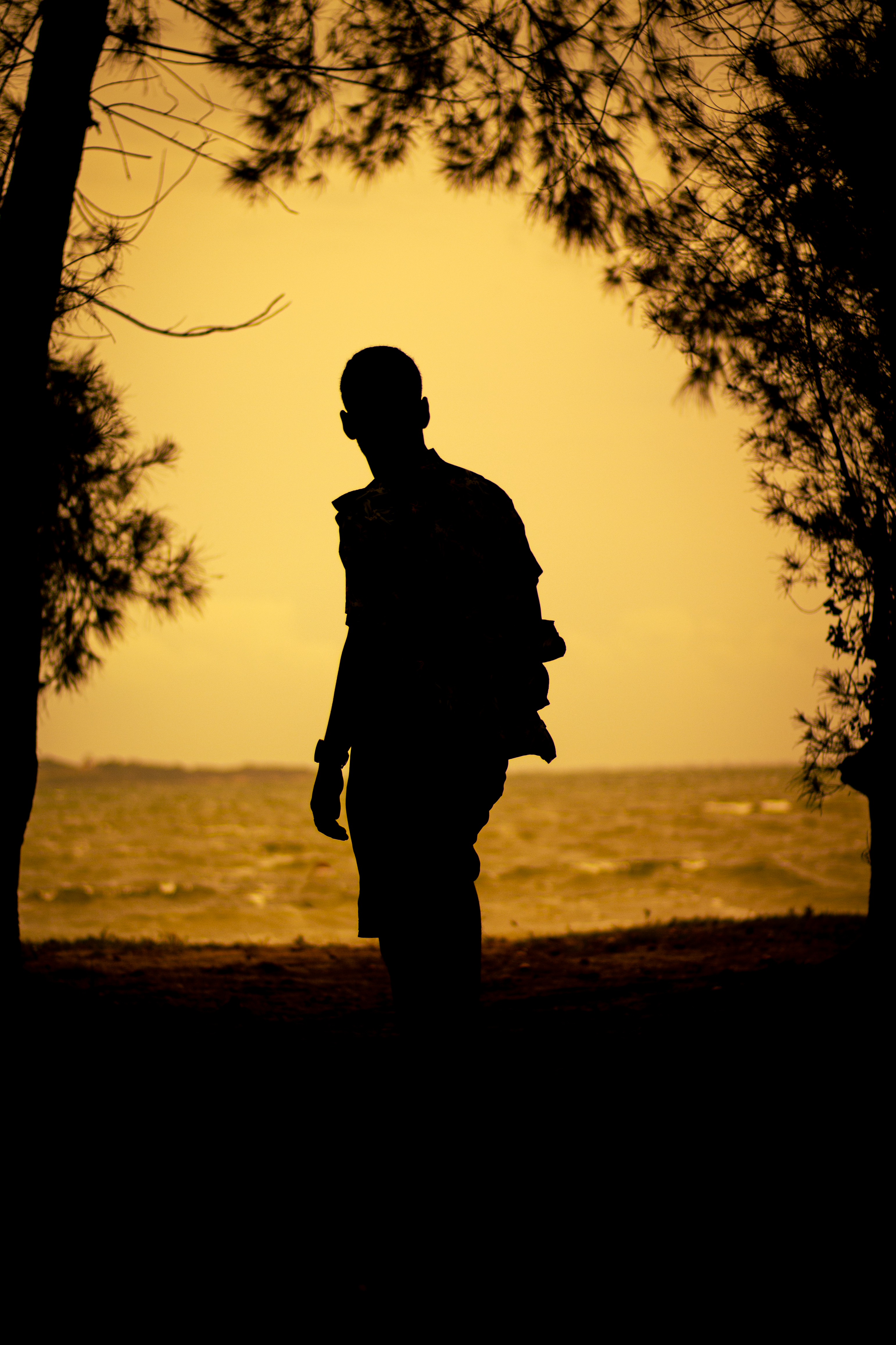 Silhouette of Man during Golden Hour · Free Stock Photo
