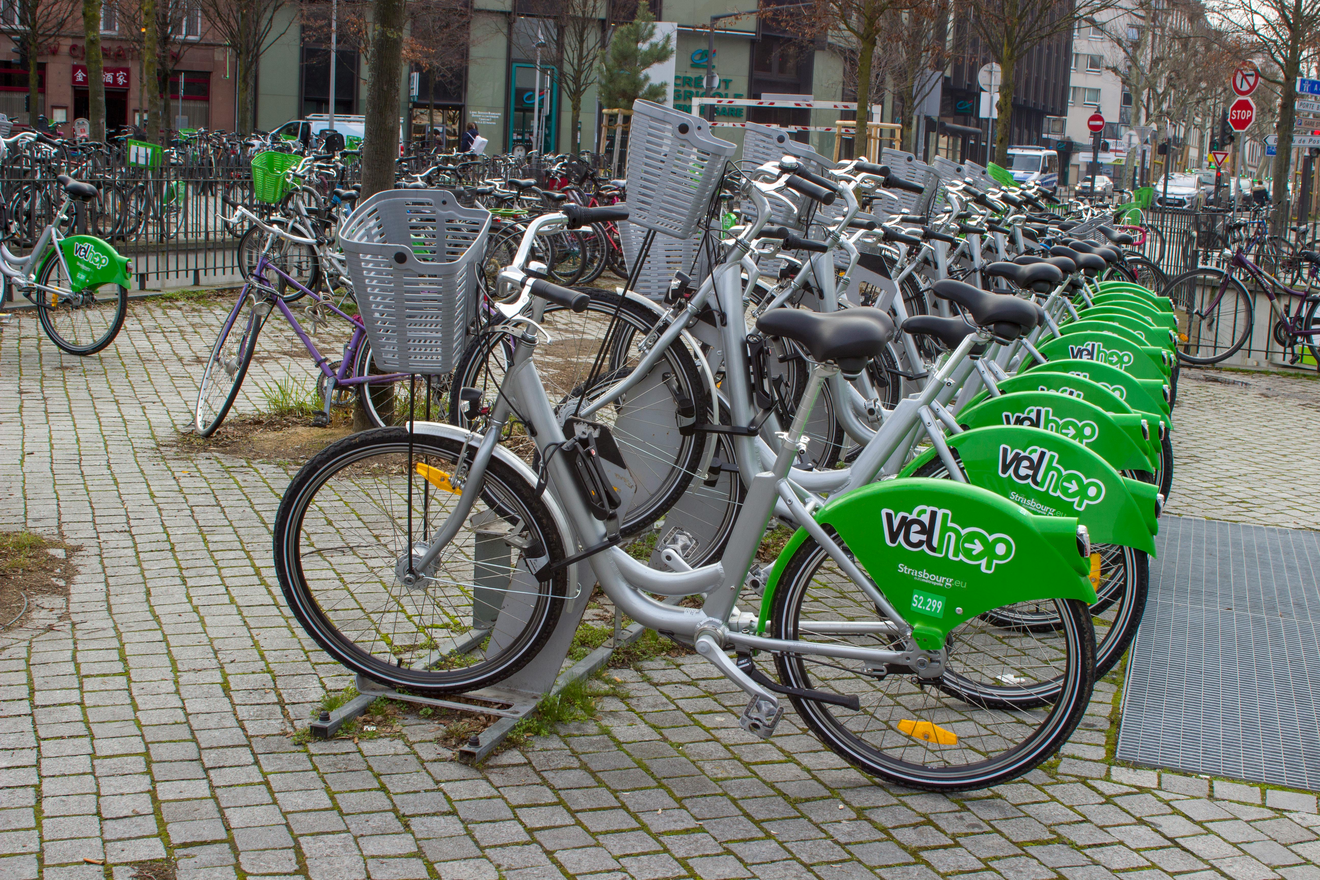 Free stock photo of bikes, city center, strasbourg