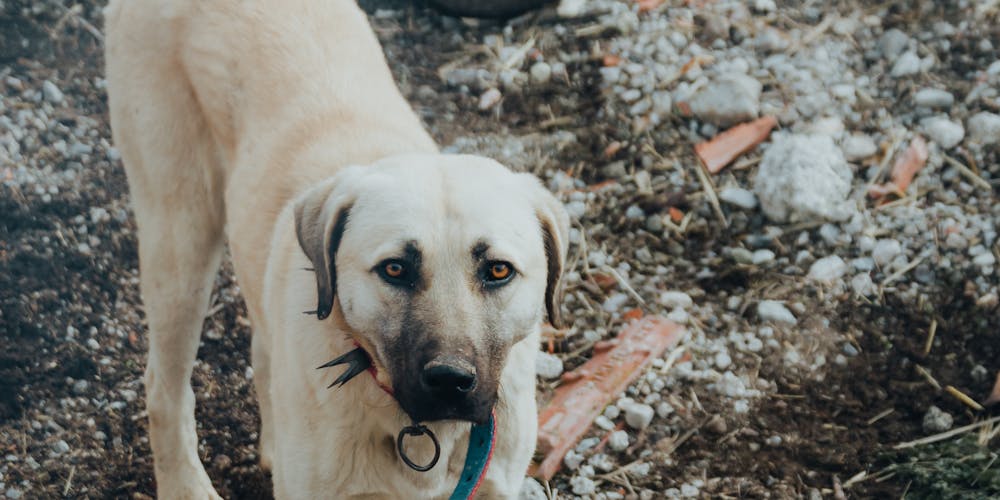 cách nạp tiền vào kuwin - Ươm Mầm Tương Lai - Khám Phá Đại Học Hội Nhập