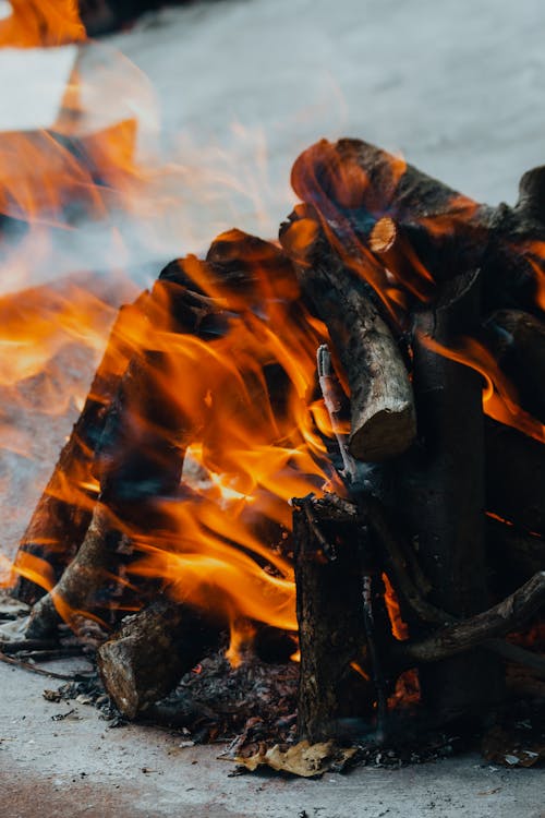 186,800+ Burning Wood Stock Photos, Pictures & Royalty-Free Images - iStock