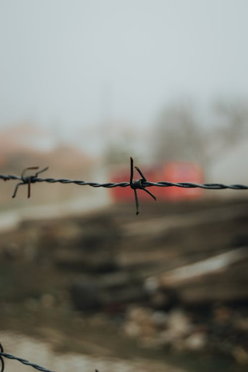 Barbed Wire in Close-up View