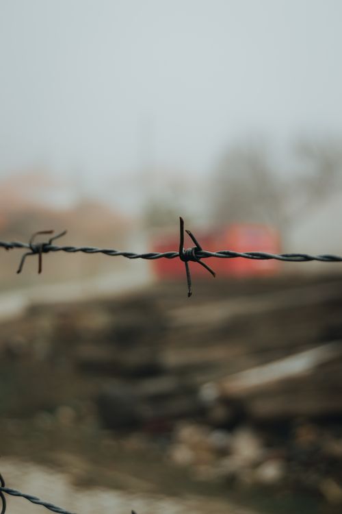 Free Sharp focus on barbed wire fence with blurred background, symbolizing danger and barrier. Stock Photo