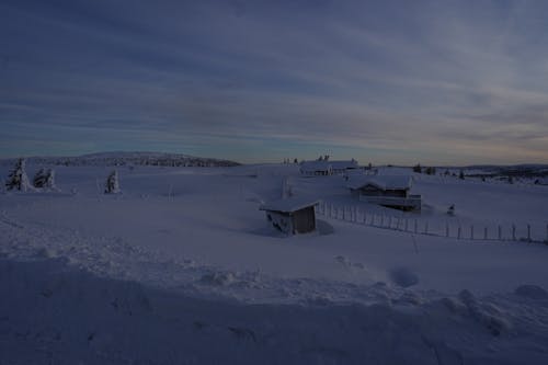ノルウェー, 冬, 雪の無料の写真素材