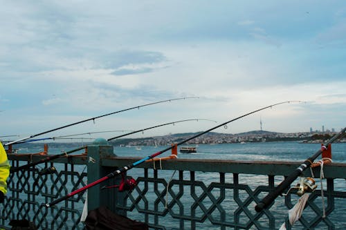 Foto profissional grátis de eminonu, istambul türkiye, pescadores