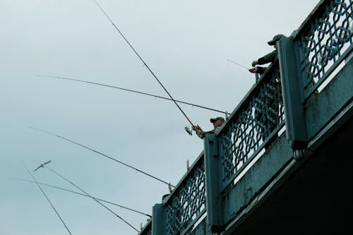 伊斯坦布尔图尔基耶, 加拉塔桥, 漁夫 的 免费素材图片