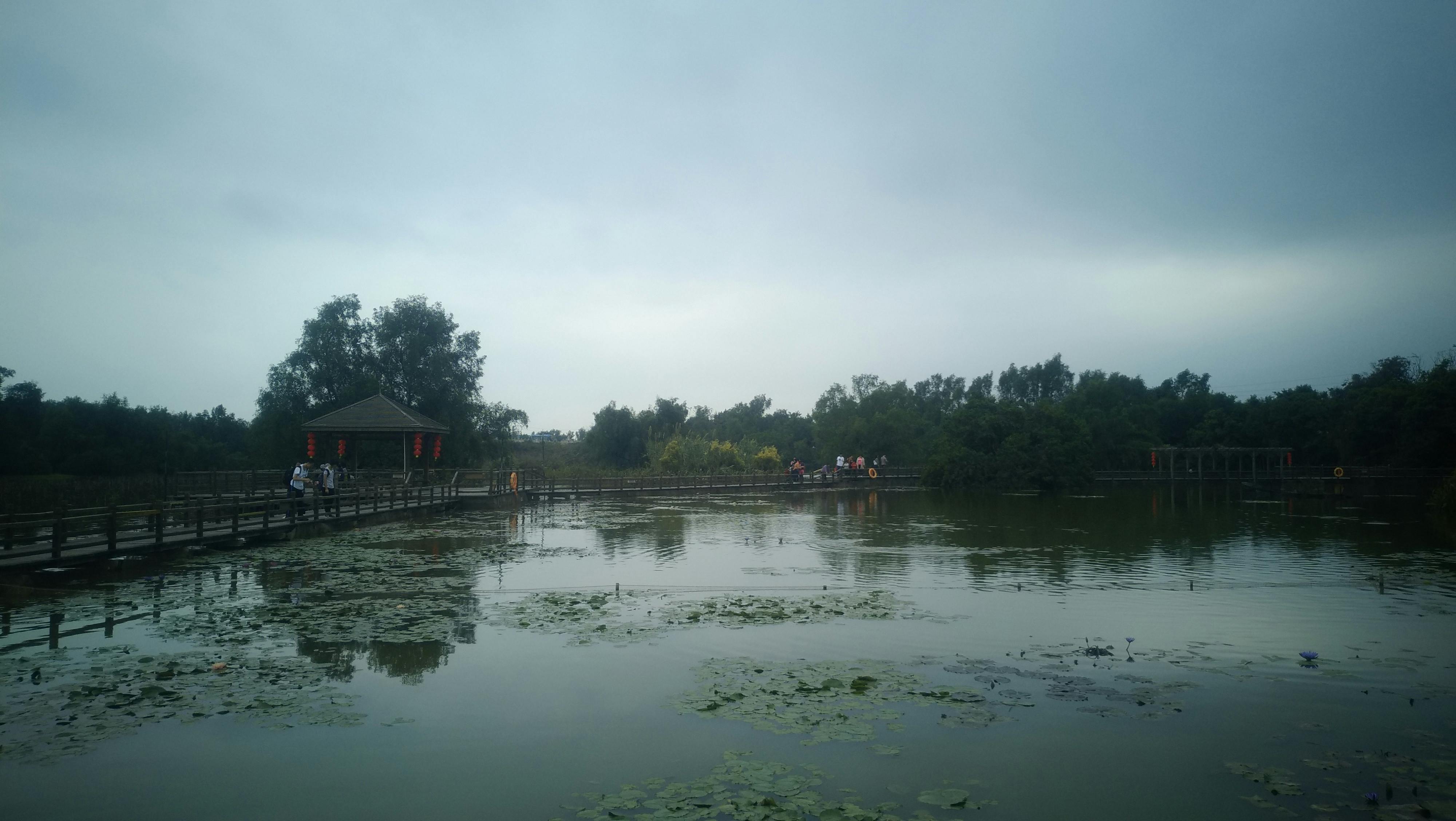 Free stock photo of Wetland Park in Guangzhou