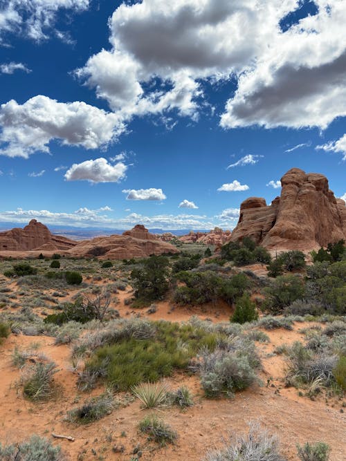 Bushes and Rock Formations behind