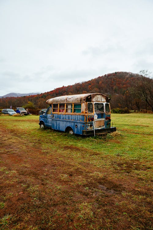 An Old Bus in a Field