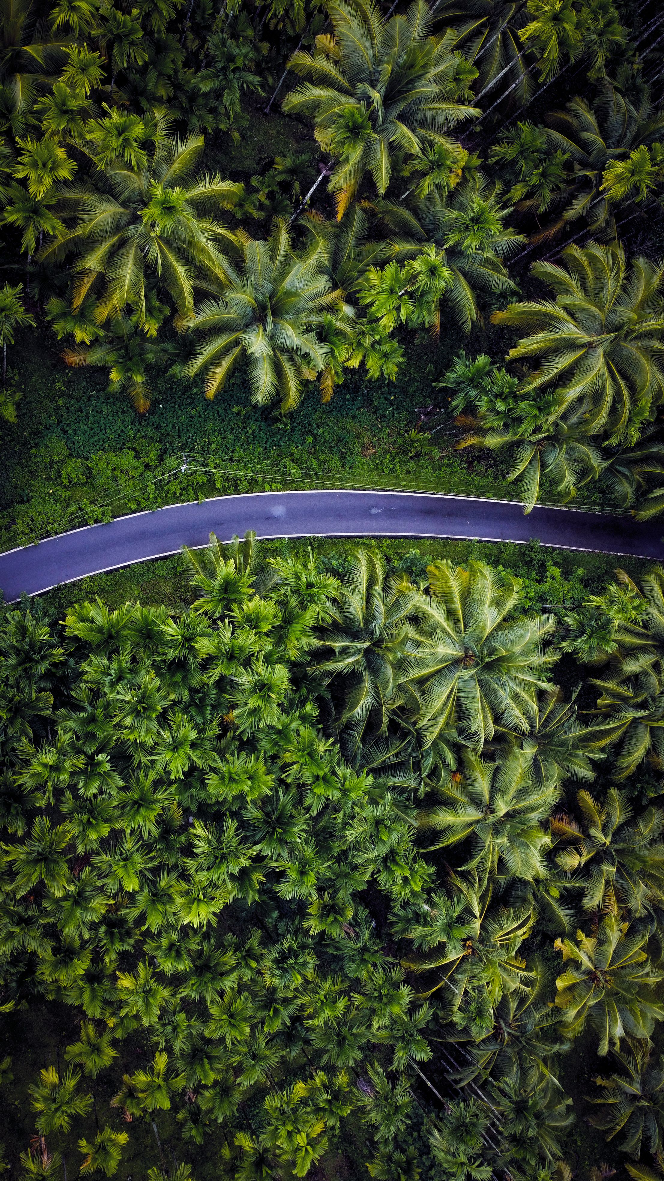 Picture of the day - nature wallpapers