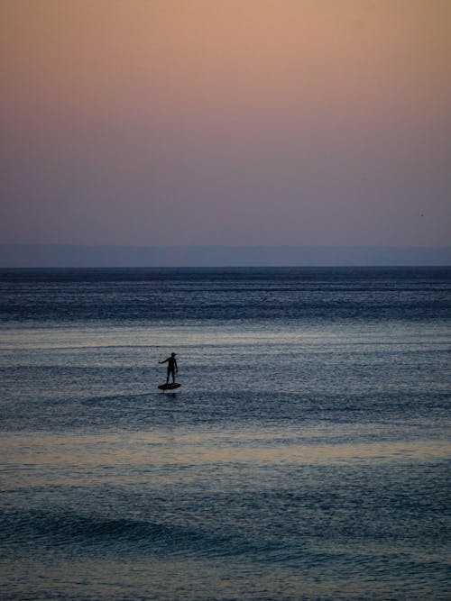 คลังภาพถ่ายฟรี ของ paddleboarding, การผจญภัย, คน