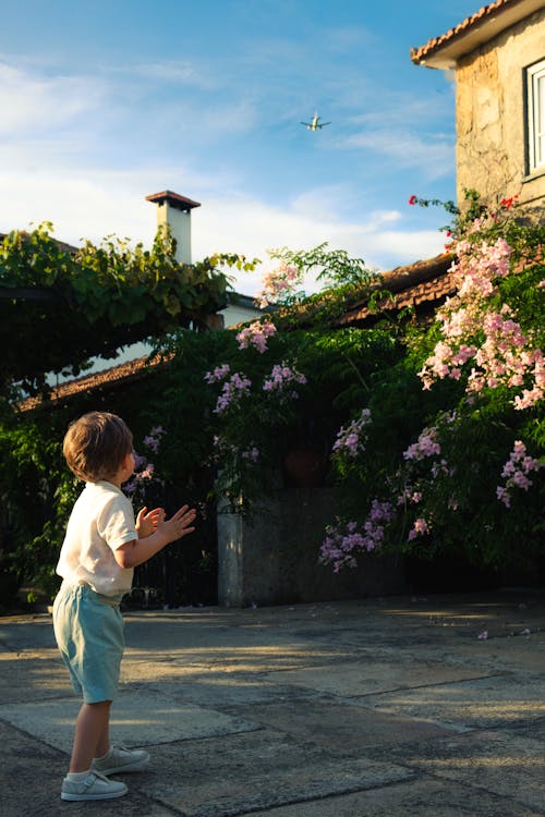 Boy Watching Airplane from Yard