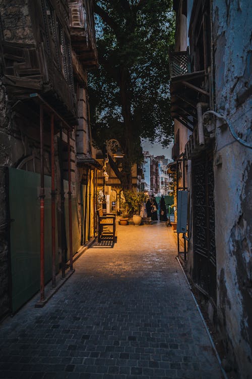 Fotos de stock gratuitas de árbol, calle, callejón