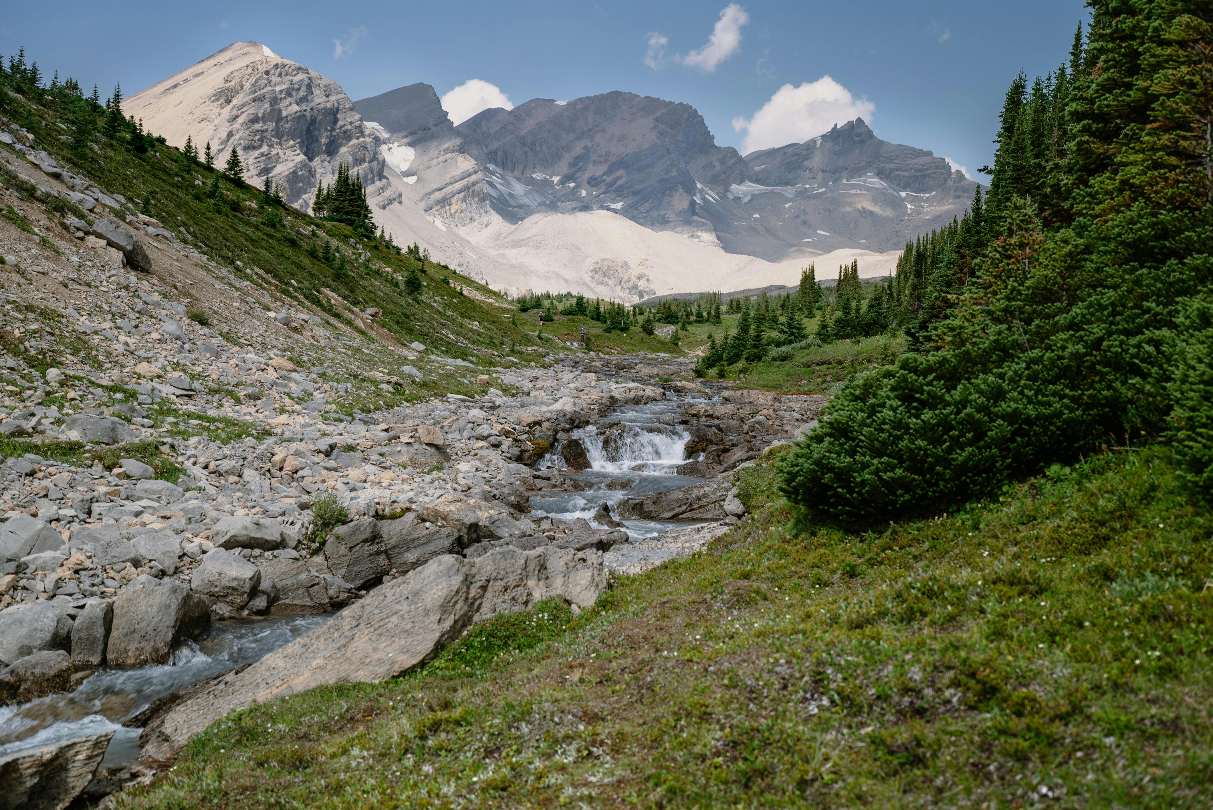 Beautiful landscape of a mountain stream flowing through a rocky valley in Banff National Park.
