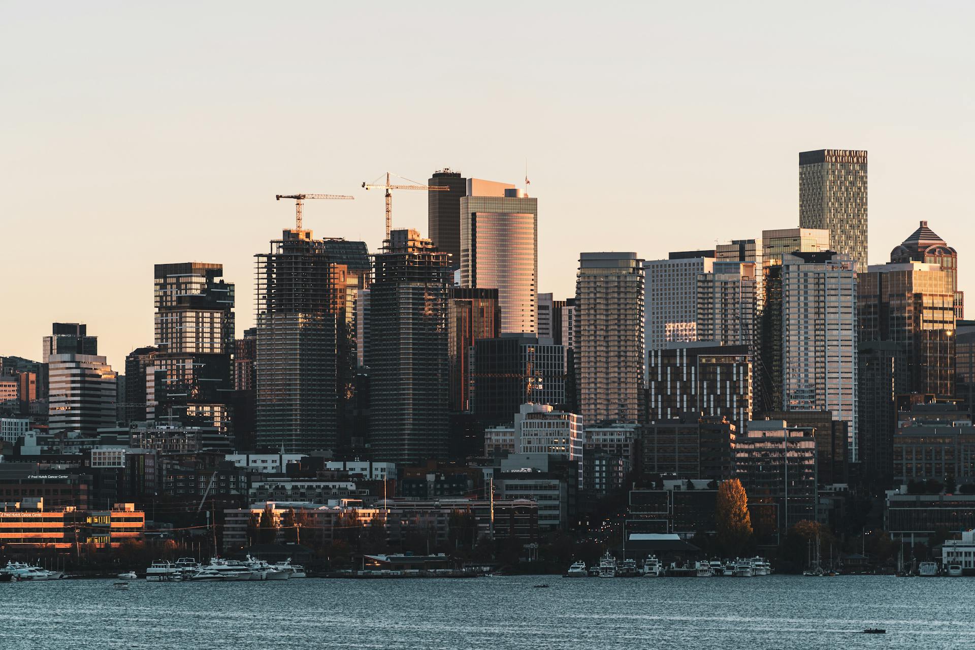 Skyscrapers on Coast in Seattle