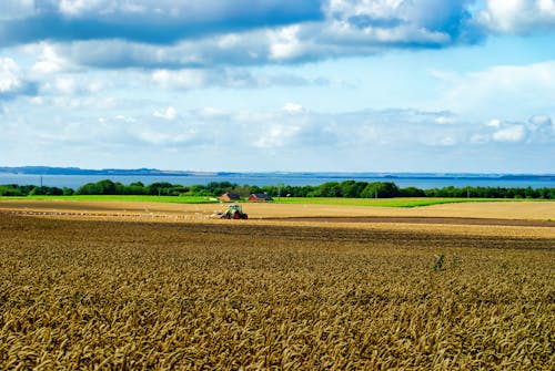Working Farmer in Rural Agricultural Landscape