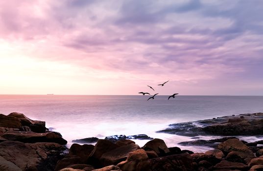 Serene ocean view with birds flying over rocky coast at sunset.