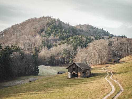 Photos gratuites de abri de jardin, cabane, campagne