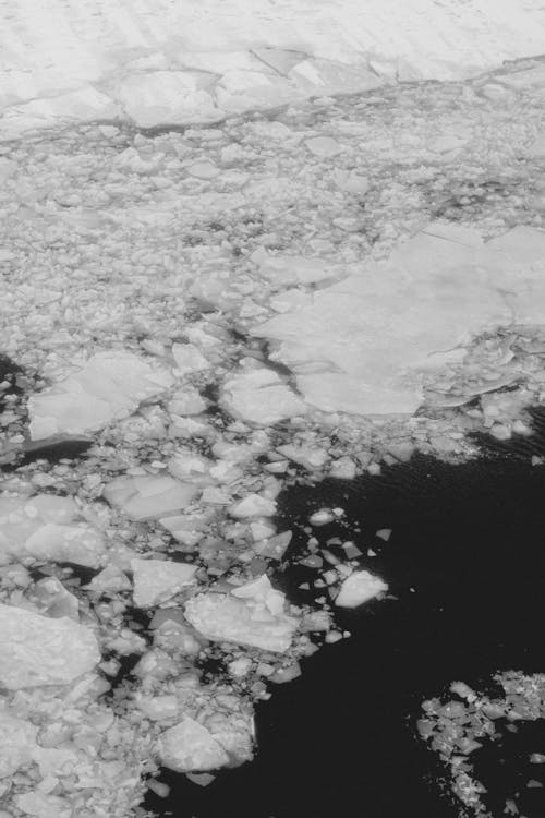 Ice Floating along the Coast