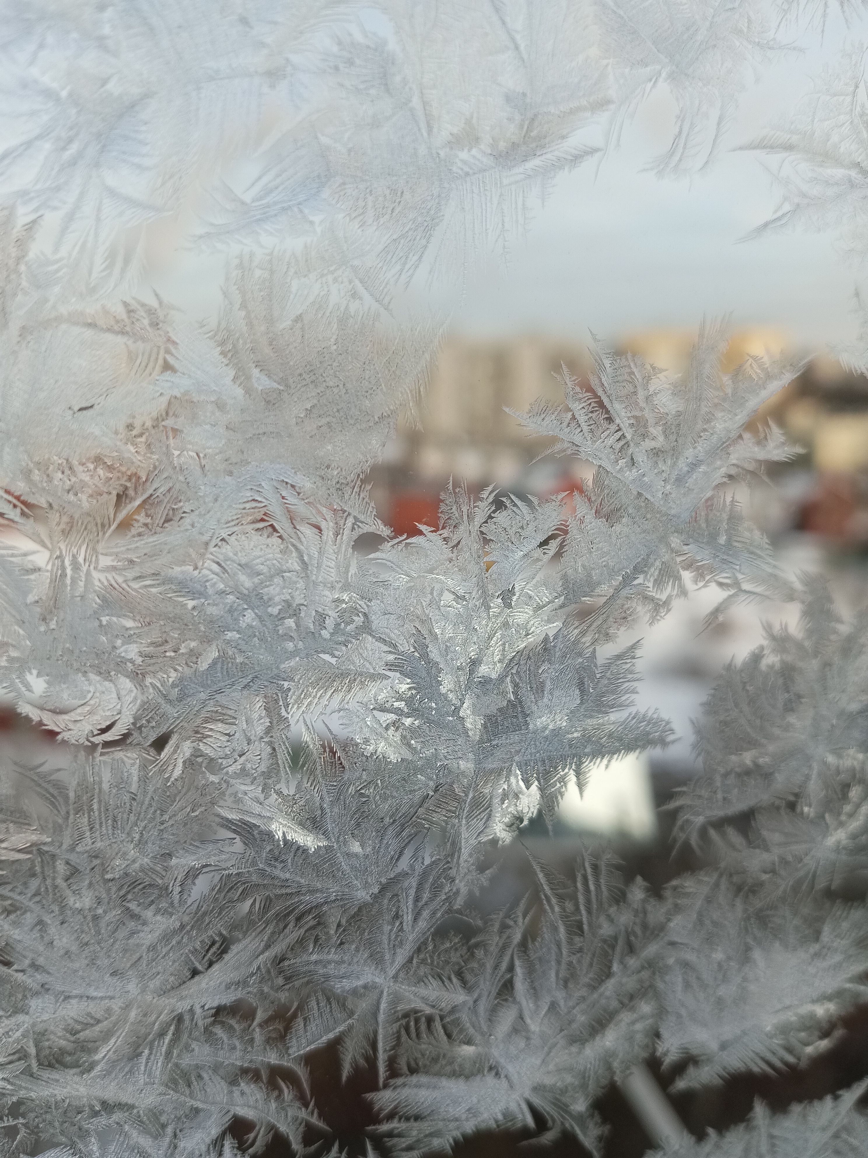 Close-up of a Frosty Window · Free Stock Photo