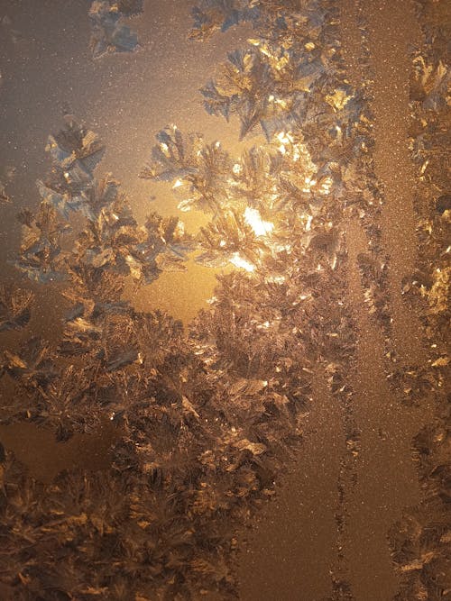 Close-up of a Frosty Window 
