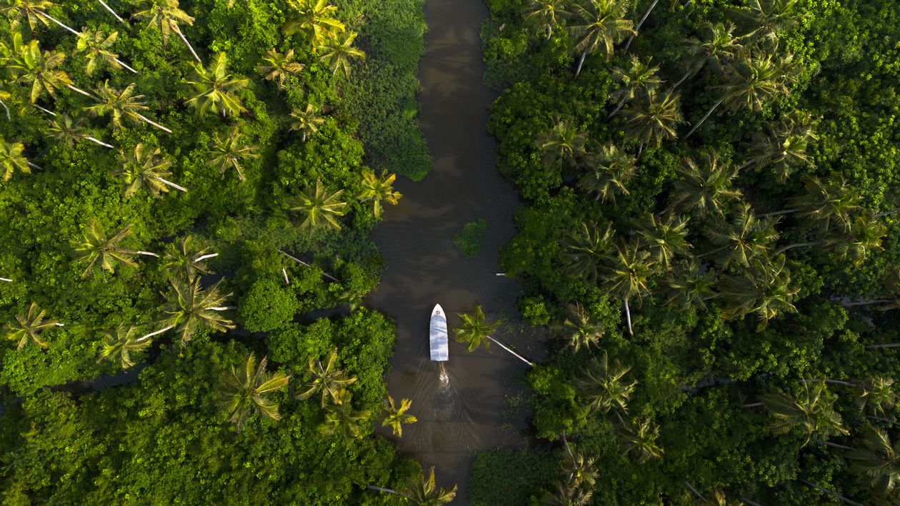 Alleppey-Kerala
