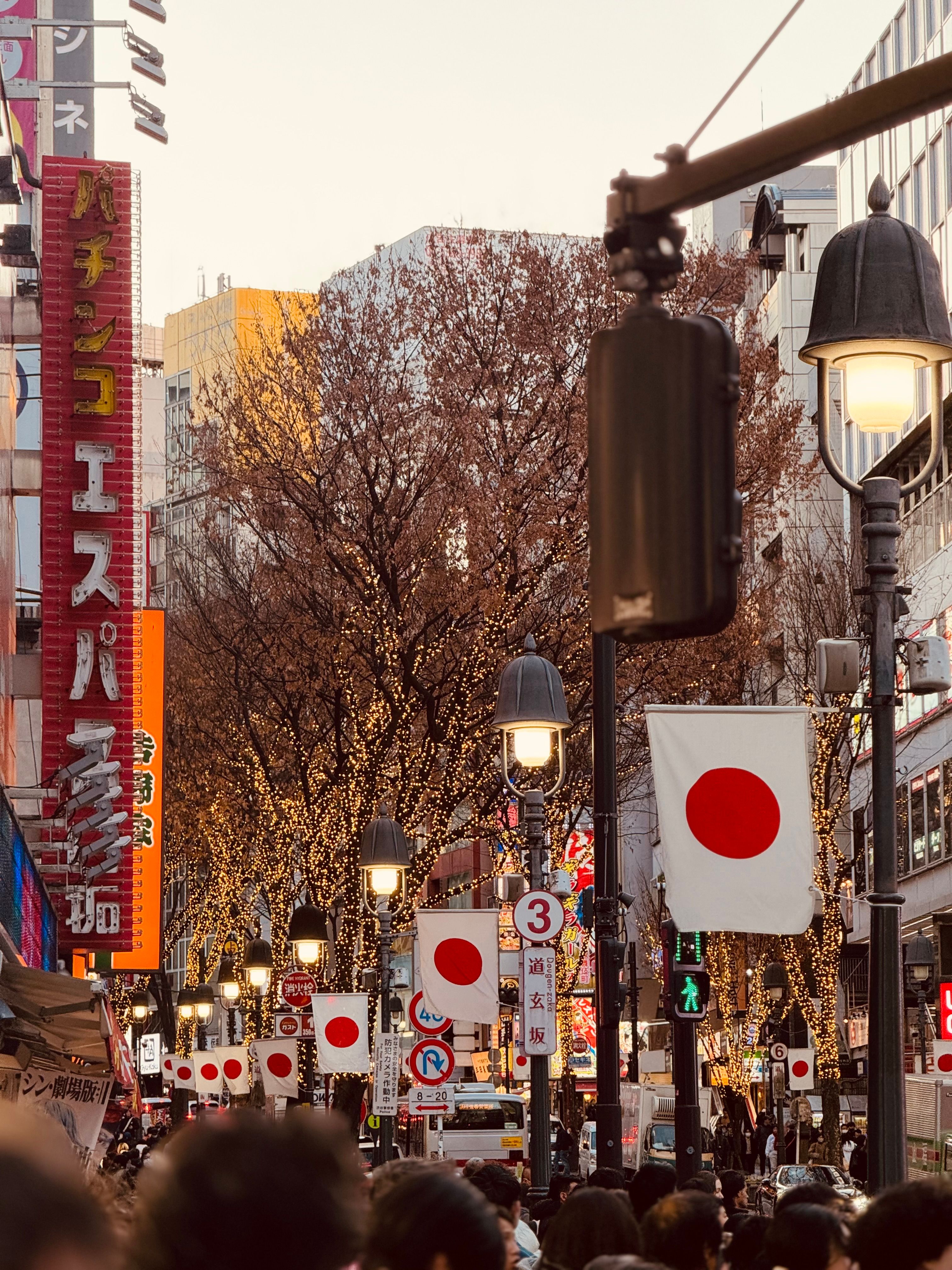 Japan’s New Immigration Reality: Higher Bars, Higher Income, and the Shift Toward Deep Integration