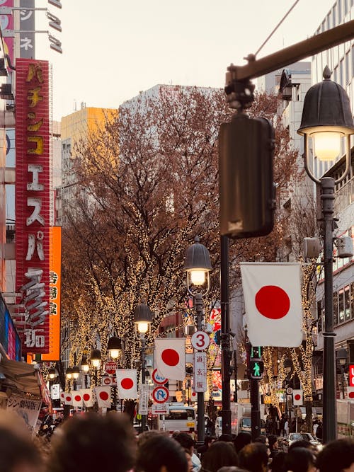 Darmowe zdjęcie z galerii z budynki, chodzenie, flagi japonii