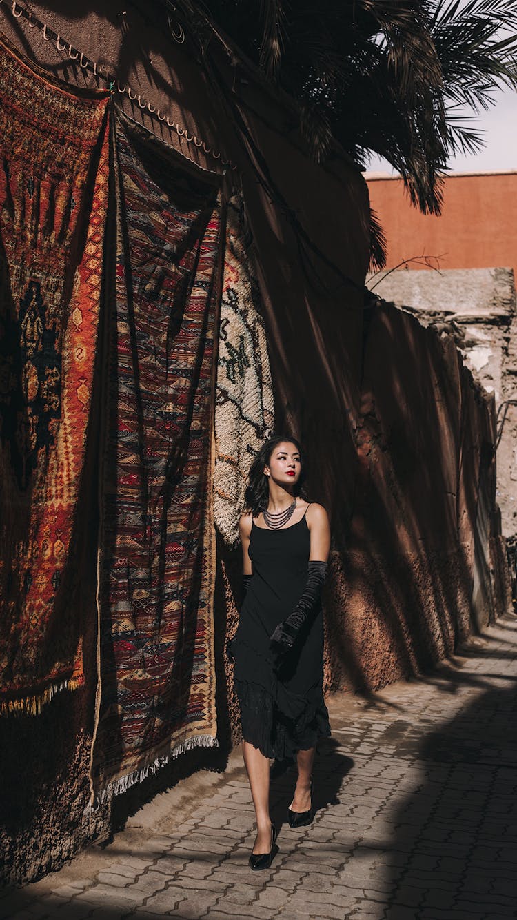 Elegant Woman Walking On A Street 