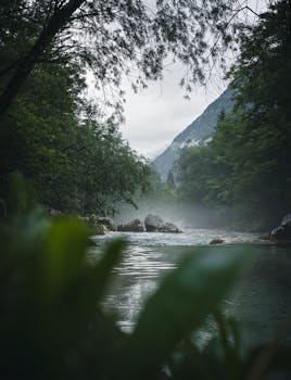 Peaceful river flowing through a lush, misty forest with distant mountains.