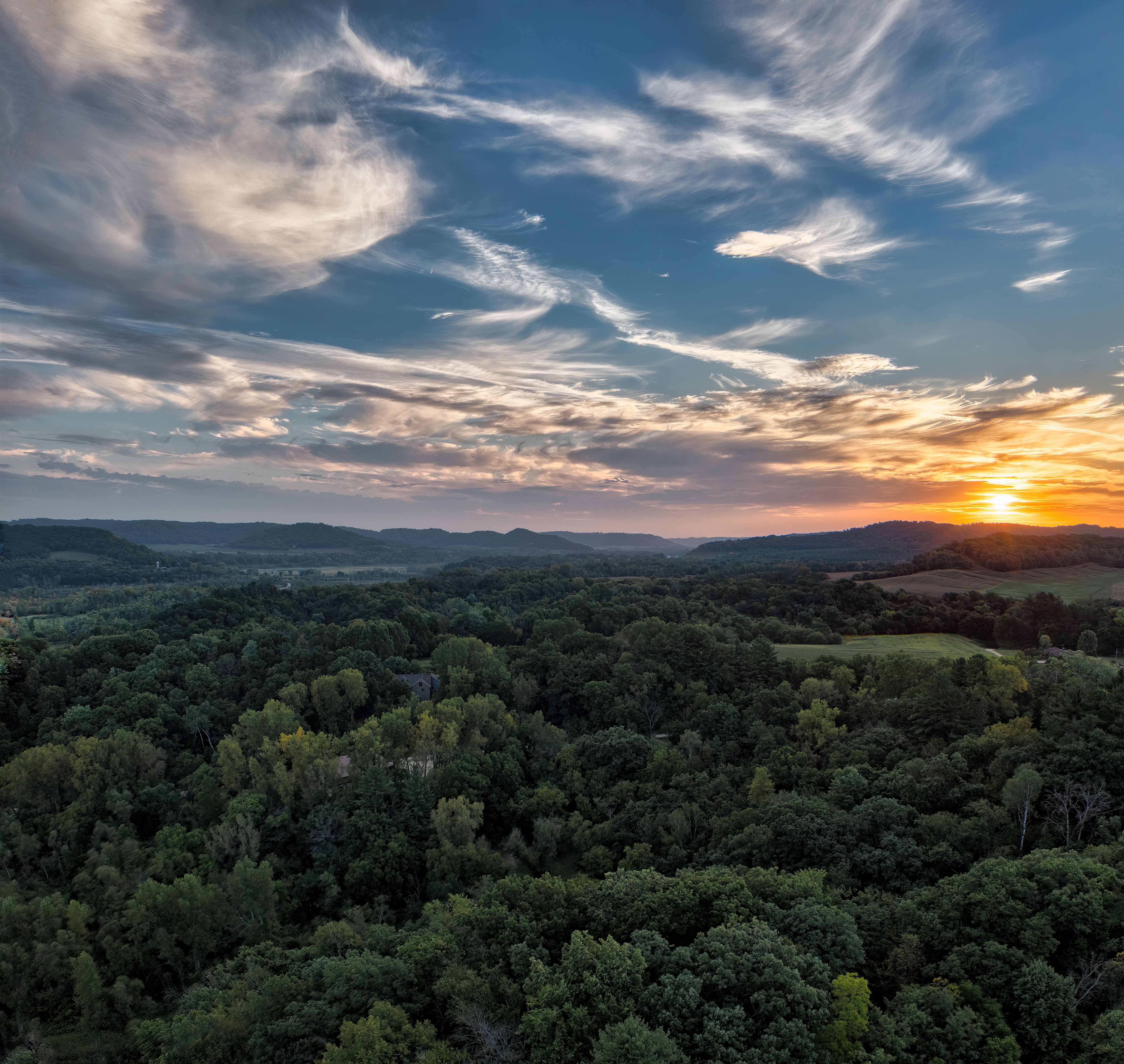 Aerial View of Green Trees at Sunset · Free Stock Photo