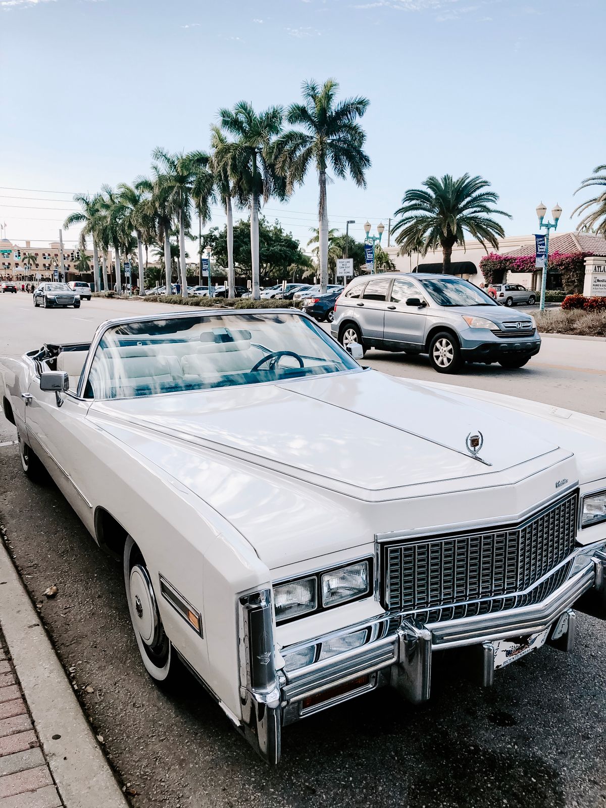 Snowbird Car Shipping: The Complete Guide to Seasonal Auto Transport