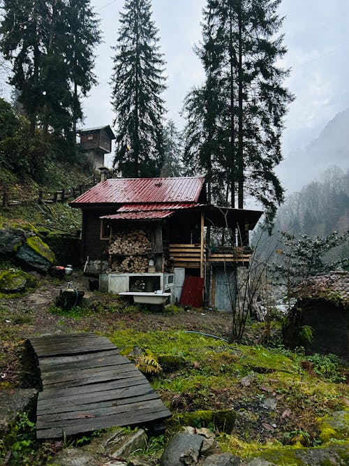 doğa, küçük ev, nature içeren Ücretsiz stok fotoğraf