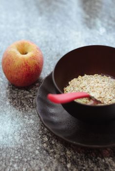 Apple Cinnamon Fruit & Grain Cereal Bar