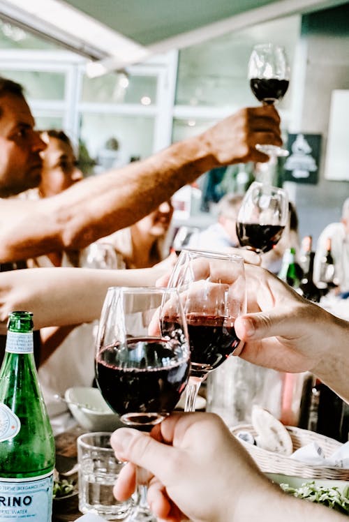 Free People Having A Toast  Stock Photo