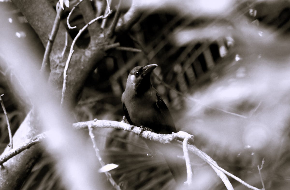 Marche local et commerce en mouvement